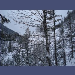2013-02-02_Rappinschlucht_Lainlalm (072).jpg